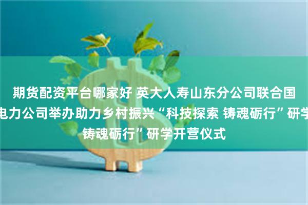 期货配资平台哪家好 英大人寿山东分公司联合国网山东省电力公司举办助力乡村振兴“科技探索 铸魂砺行”研学开营仪式