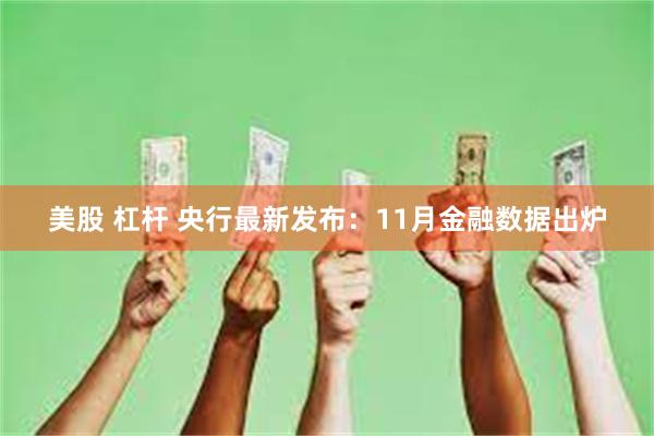 美股 杠杆 央行最新发布：11月金融数据出炉