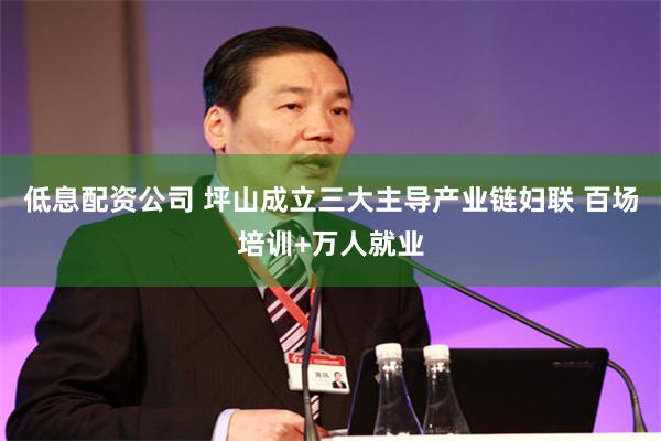 低息配资公司 坪山成立三大主导产业链妇联 百场培训+万人就业