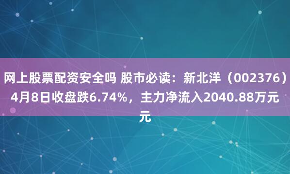网上股票配资安全吗 股市必读：新北洋（002376）4月8日收盘跌6.74%，主力净流入2040.88万元