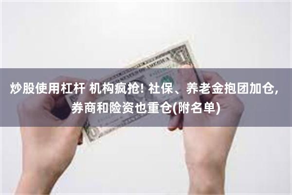 炒股使用杠杆 机构疯抢! 社保、养老金抱团加仓, 券商和险资也重仓(附名单)