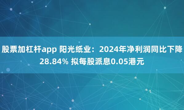 股票加杠杆app 阳光纸业：2024年净利润同比下降28.84% 拟每股派息0.05港元