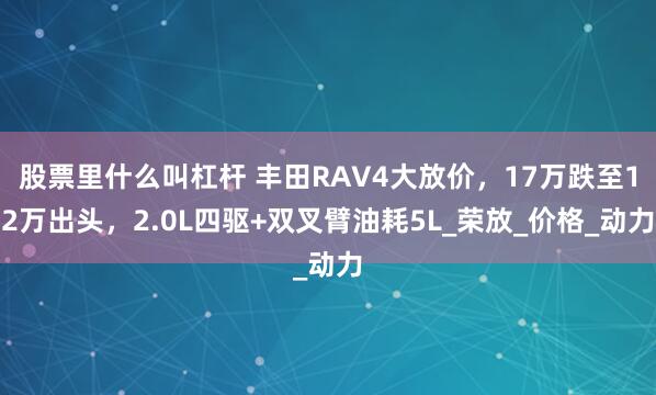 股票里什么叫杠杆 丰田RAV4大放价，17万跌至12万出头，2.0L四驱+双叉臂油耗5L_荣放_价格_动力