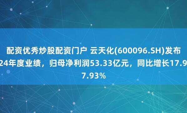 配资优秀炒股配资门户 云天化(600096.SH)发布2024年度业绩，归母净利润53.33亿元，同比增长17.93%