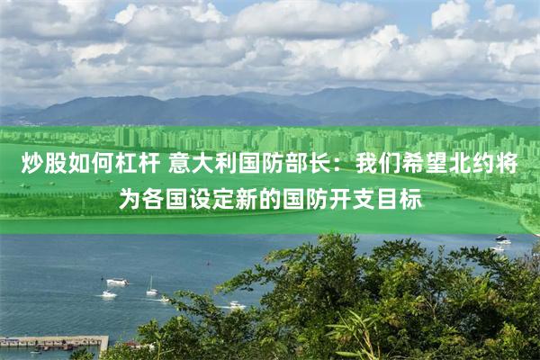 炒股如何杠杆 意大利国防部长：我们希望北约将为各国设定新的国防开支目标