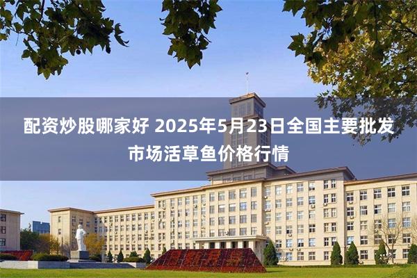配资炒股哪家好 2025年5月23日全国主要批发市场活草鱼价格行情