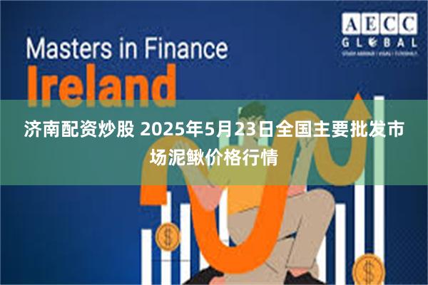 济南配资炒股 2025年5月23日全国主要批发市场泥鳅价格行情