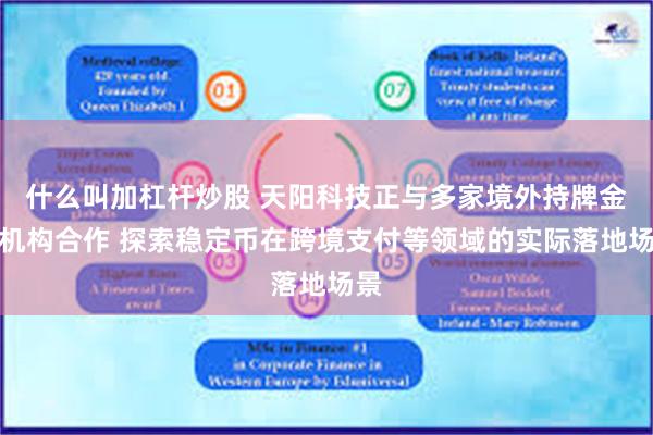 什么叫加杠杆炒股 天阳科技正与多家境外持牌金融机构合作 探索稳定币在跨境支付等领域的实际落地场景